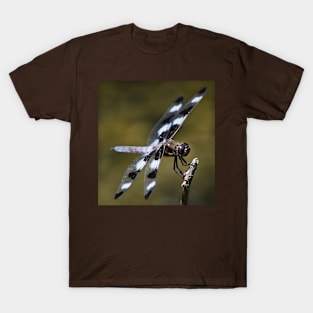 Twelve-spotted Skimmer T-Shirt